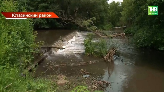 Исчезла рыба, пропали бобры, скоту негде пить: юго-восток Татарстана теряет Дымку