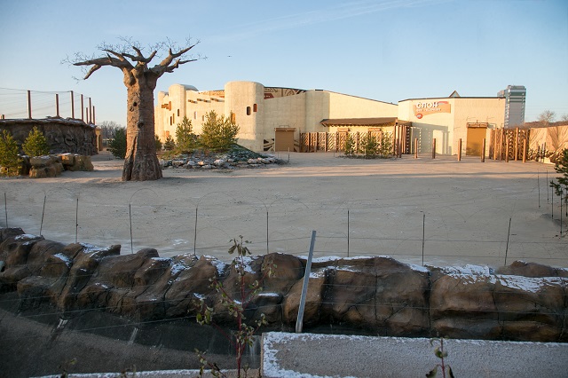 Прокуратура озвучила выявленные нарушения в работе Казанского зооботсада