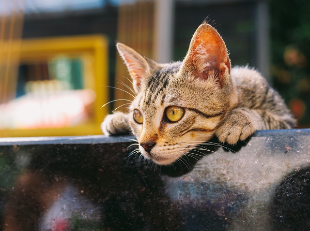 Период гроз и ливней наступает в Татарстане