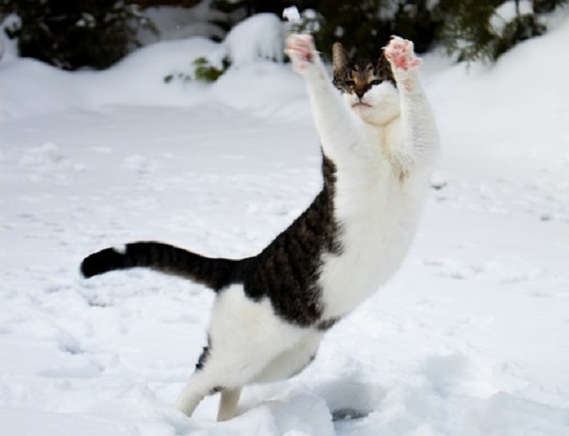 В начале рабочей недели в Татарстане похолодает до -25 градусов