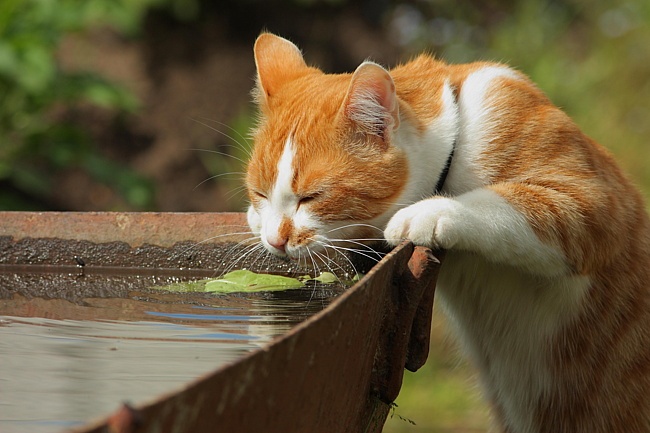 26 июля в Татарстане ожидаются 30-градусная жара, грозы и усиление ветра до 20 м/с