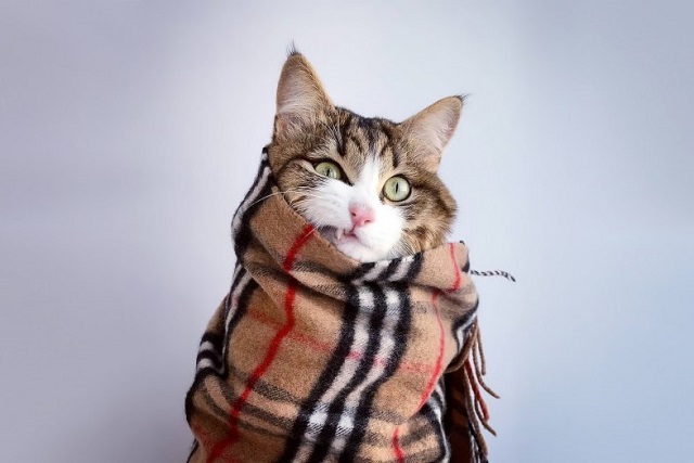 Киләсе берничә көндә Татарстанда апрель аена хас һава торышы сакланачак