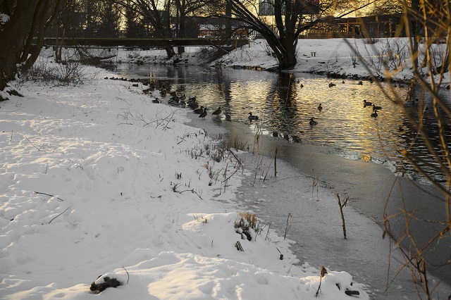 Климатолог Кокорин: зима в России достигнет плюсовых температур