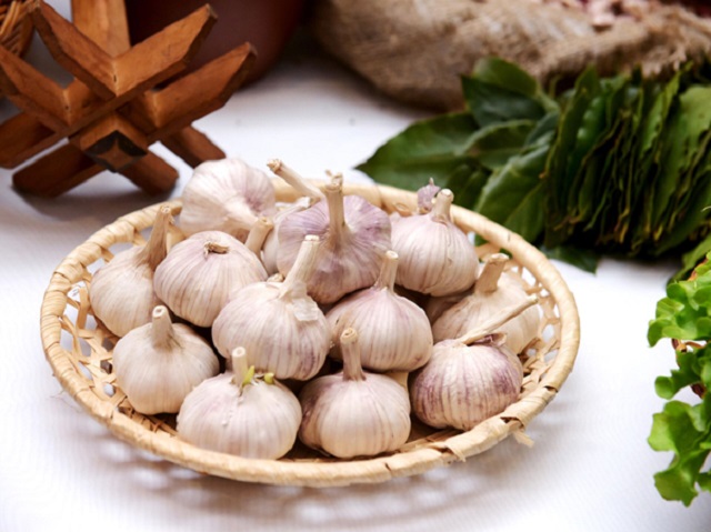 Как правильно сажать чеснок под зиму