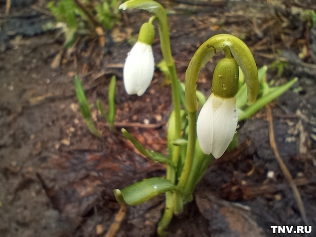 До +14 градусов: стало известно, где на выходных ожидается самая тёплая погода