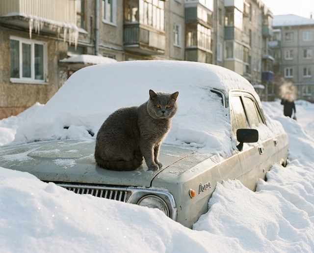 Зимний март: в Татарстане температура рухнет до -27 градусов