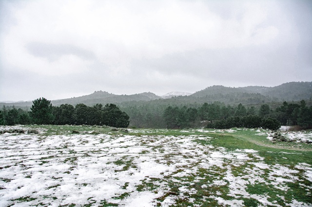 Гидрометцентр: на 60% территории РФ до сих пор лежит снег