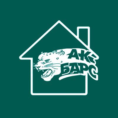 Новый челлендж: "Ак Барс" вслед за "Рубином" сменил эмблему, посадив барса на карантин