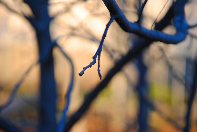 Рост атмосферного давления накроет Татарстан 15 ноября