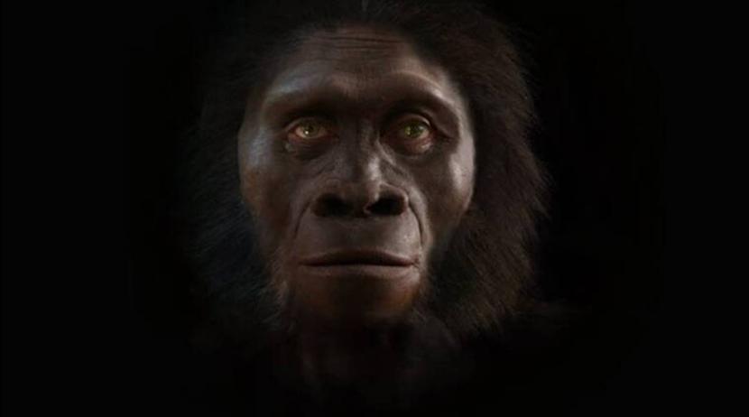 Останки предка современных гиббонов найдены в Индии