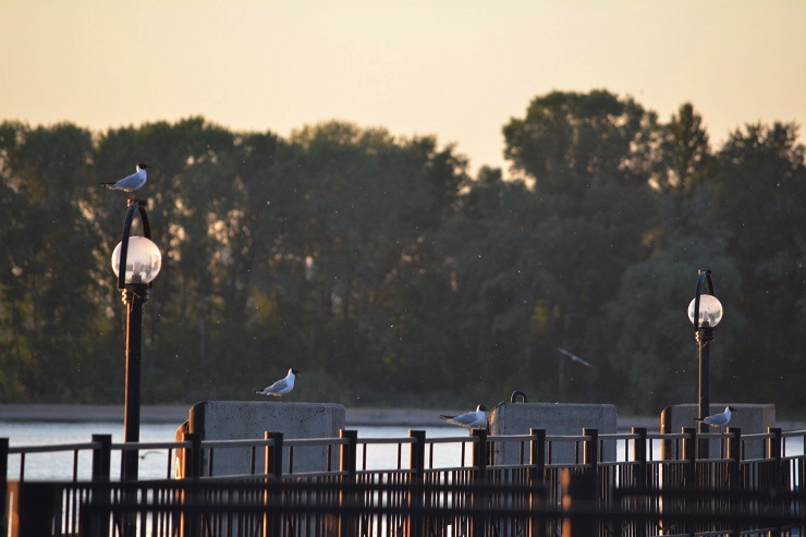 В субботу татарстанцев ждет короткое похолодание