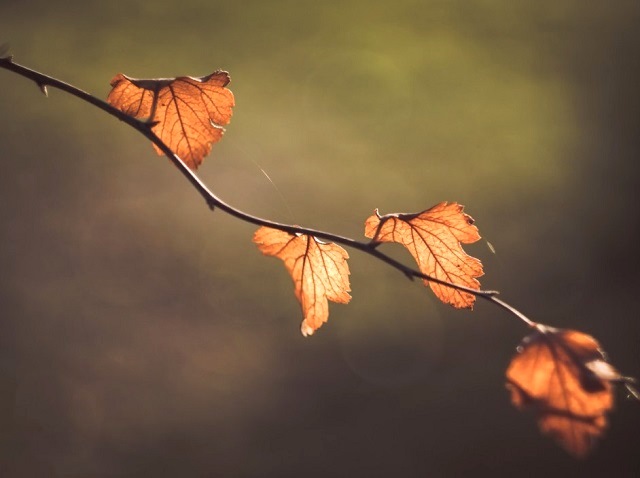 Дыхание осени: похолодание до -3 градусов и дожди прочат синоптики Татарстану