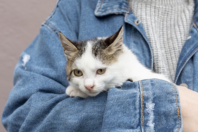 Пасмурно и дождливо: в ближайшие сутки в Татарстане похолодает до +5 градусов