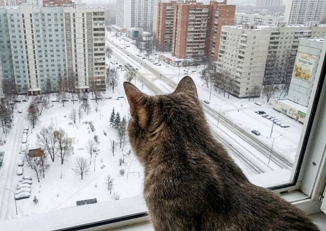 Вак яңгыр һәм +1 градуска кадәр җылыта