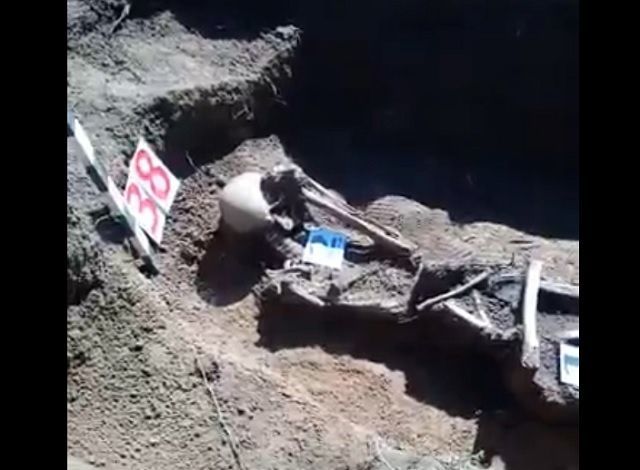 Поисковики из Татарстана провели раскопки в Волгоградской области – видео