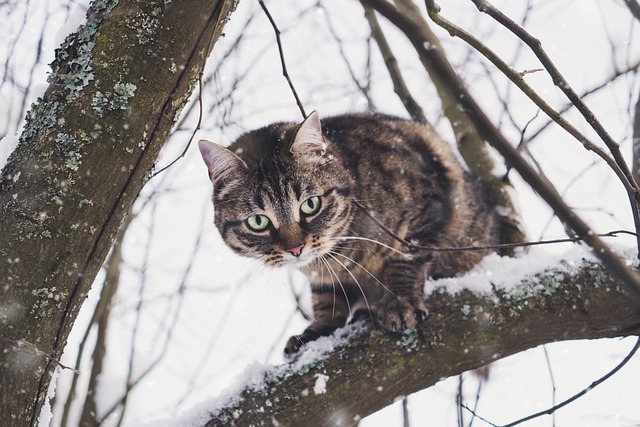 Выходные в Татарстане начнутся со снегопадов и тумана