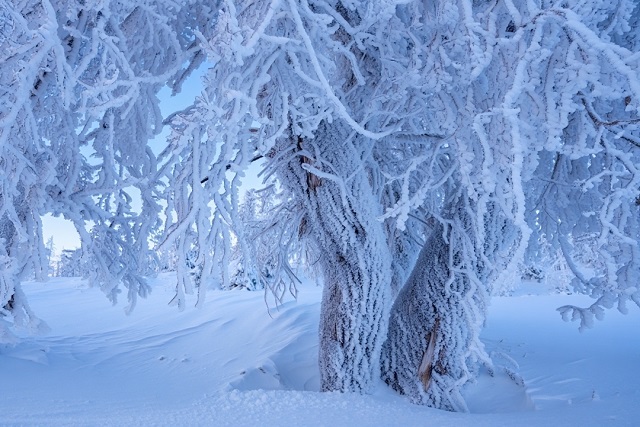 «Не самый утешительный прогноз»: аномально холодный февраль ждет Татарстан