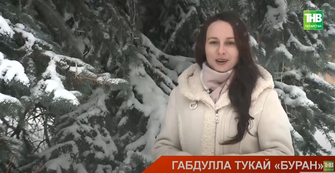 ТНВ хәбәрчеләре Габдулла Тукайның "Буран" шигырен укый - видео