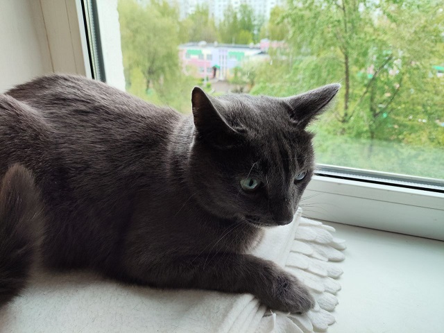 Кыска эш атнасы ахырында Татарстанда -2 градуска кадәр суыта