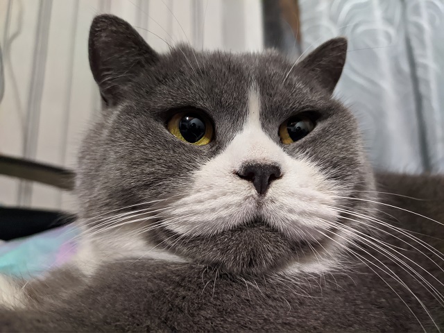 Похолодание до +11 градусов и сильная непогода придут в Татарстан в конце выходных