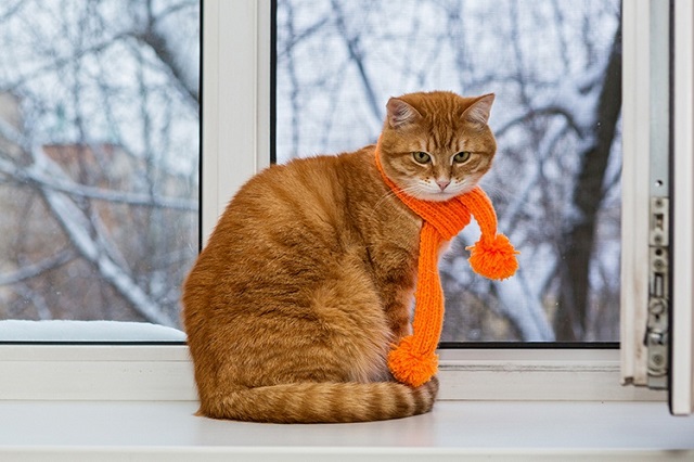 Профессор КФУ Юрий Переведенцев: снег в Татарстане пока не ожидается