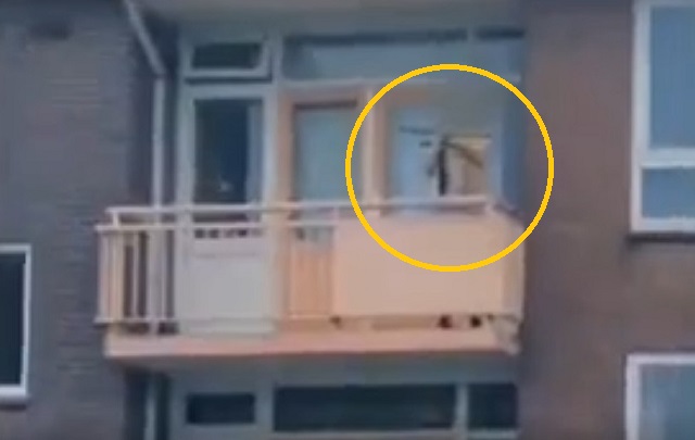 Вооруженный луком мужчина застрелил двоих прохожих не выходя из дома – видео