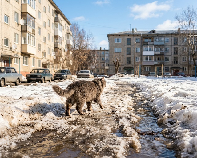 Иртәгә Татарстанда +11 градуска кадәр җылытачак