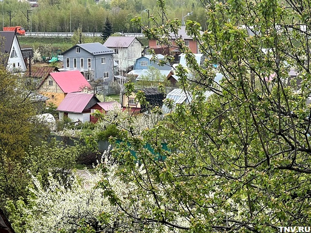 Садоводам Татарстана дали рекомендации, как спасти насаждения от заморозков