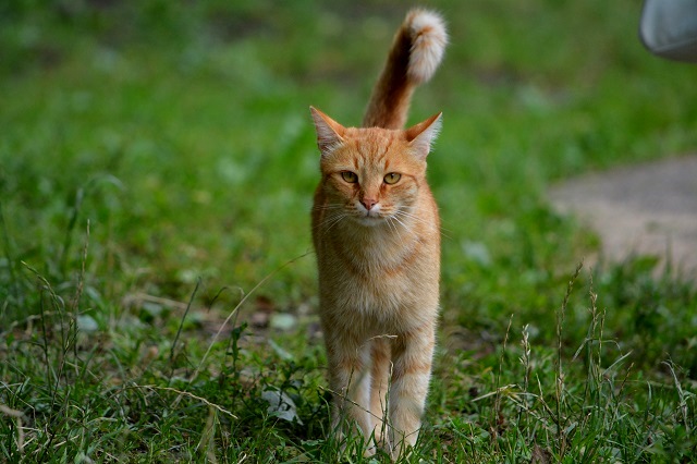 Усиление ветра, небольшие дожди и до +23 градусов ожидаются в Татарстане 25 апреля
