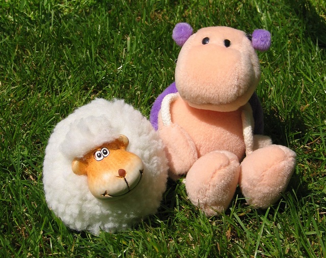 Бабье лето близко: прогноз на первые выходные осени в Татарстане