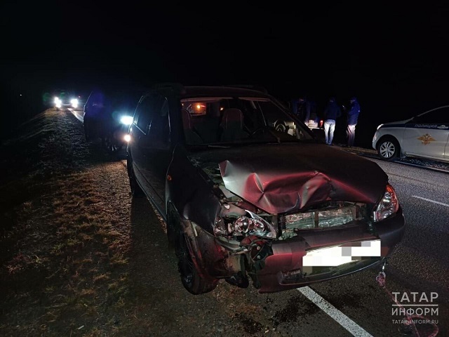 Татарстан юлында «Лада Калина» автомобиле аюны бәрдергән