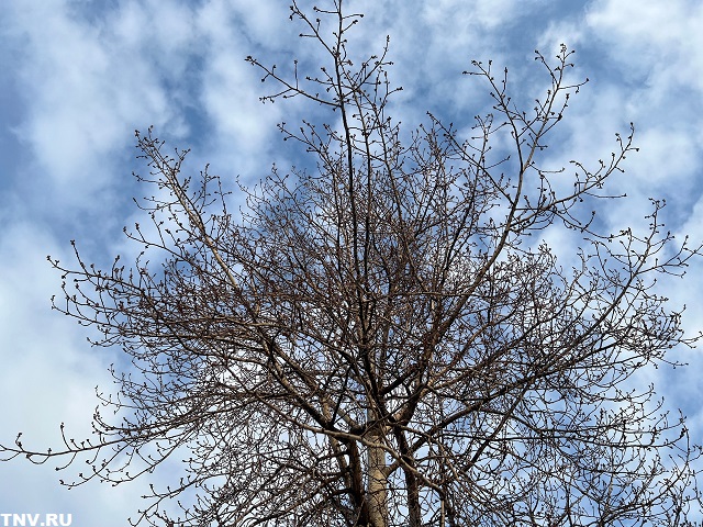 Морозы еще вернутся: татарстанцев предупредили о возвратных холодах в апреле и мае