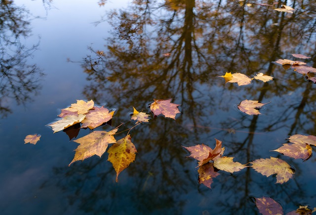 Аномально теплая и влажная погода накроет Татарстан в последнюю ноябрьскую субботу