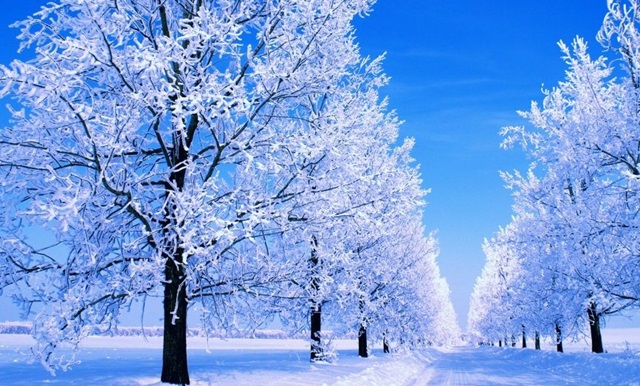 Никаких катаклизмов 27 января в Татарстане не ожидается