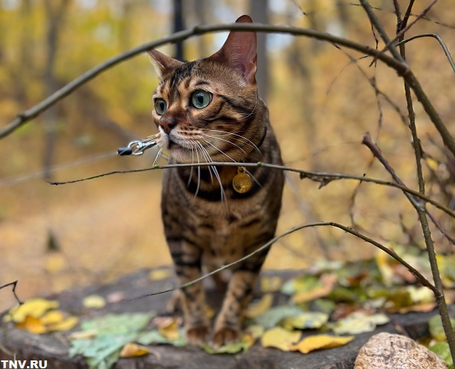 Прогноз на завершение рабочей недели в Татарстане дали синоптики