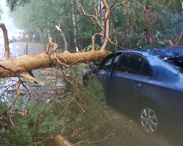 Деревья придавили два автомобиля в том же районе РТ, где машины ушли под землю
