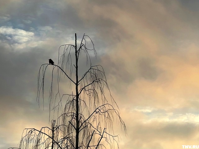 «Плюс» и ночью и днем: какие сюрпризы готовит погода в Татарстане