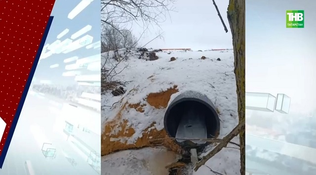 Жители РТ обеспокоены сливом сточных вод в Четово озеро, что может погубить фауну