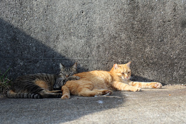 13 апрель Татарстанда һава +16 градуска кадәр җылыначак