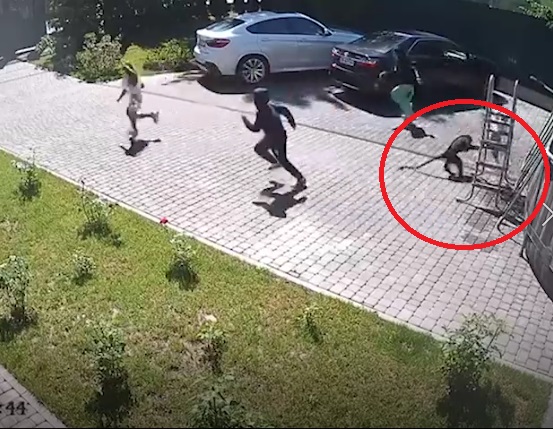 Минздрав: Состояние пережившей нападение обезьяны девочки оценивается как тяжелое