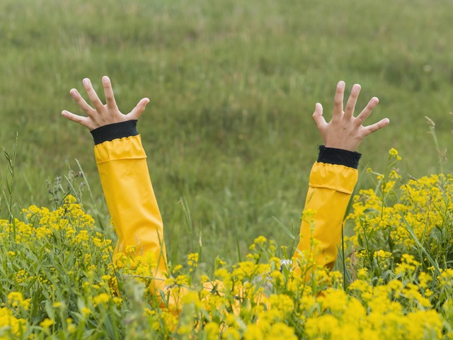 Жарче, чем в прошлом году: климатолог рассказал, каким будет лето-2026 в России