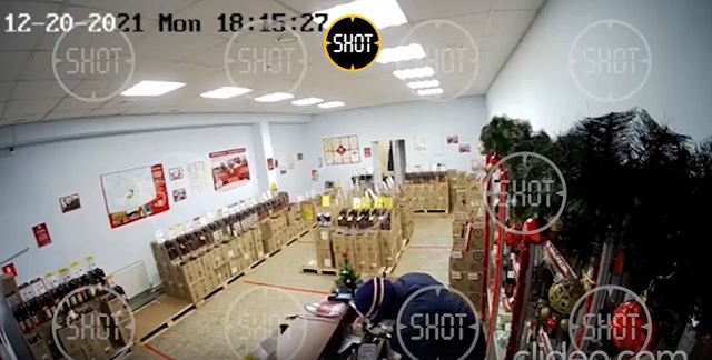 Грабитель в маске кошки пробил голову продавщице и обчистил кассу винного магазина в Москве – видео