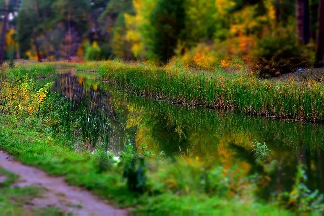 Иртәгә Татарстан районнарында томан көтелә