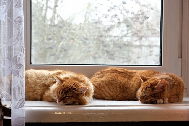 Порывистый ветер, снег, дождь и до +3 градусов ожидаются в Татарстане 18 марта