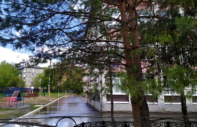 Школы Казани продолжают атаковать анонимки о минировании