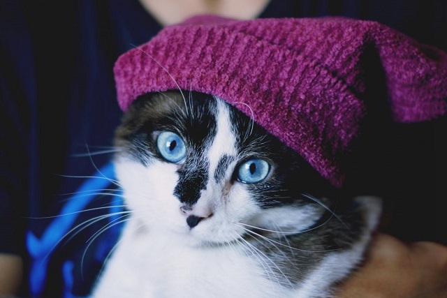 7 декабрьгә Татарстанда һава торышы! Бик суык булачак