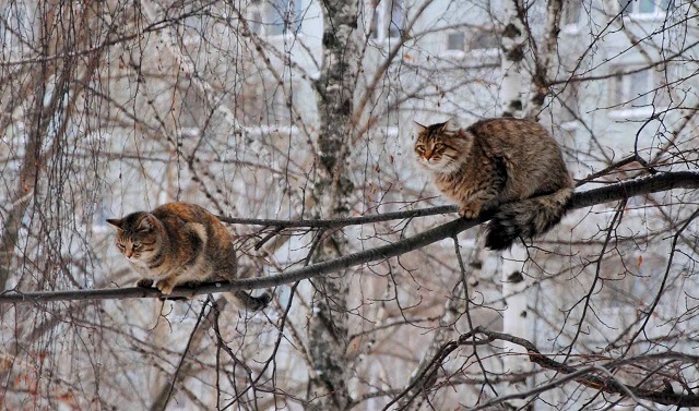 22 октября в Татарстане воздух прогреется до +14 градусов