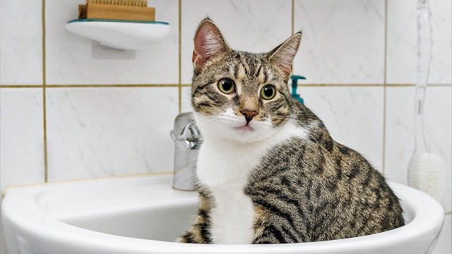 Мэрия Казани опубликовала график отключения горячей воды в июле на сетях «Татэнерго»