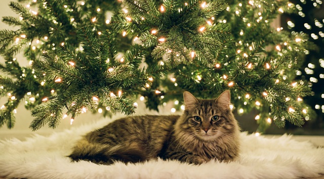 30 декабрьгә һава торышы билгеле