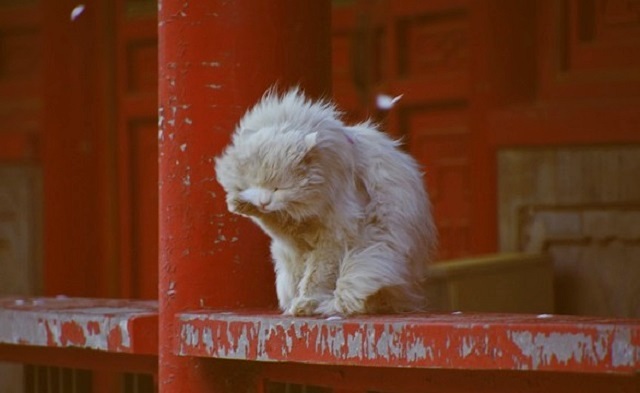 На Татарстан надвигается порывистый ветер до 17 м/с